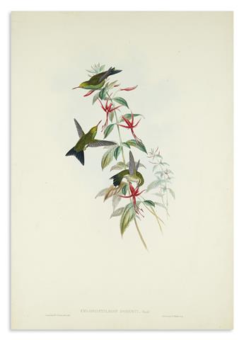 GOULD, JOHN. Group of 7 hand-colored lithographs of hummingbirds